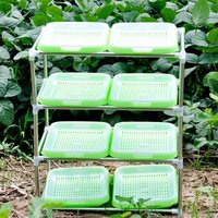 Máquina de extrusión de láminas de plástico con bandeja para siembra de PET Jwell