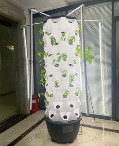 Système vertical d'ananas de tour aéroponique d'intérieur de tour d'ananas avec la lumière de croissance - Product Image 5