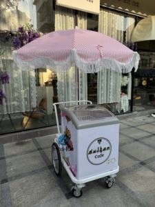Vente d'Europe Crème glacée Snack Food Street Food Popsicle Vending Hand Push Cart avec batterie Boisson froide Bar mobile - Product Image 5