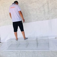 Cage d'élevage de poussins, équipement d'élevage avicole, cages pour animaux, poulaillers, Produits Gagnants à vendre