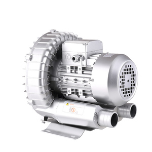 ไฟฟ้าแรงดันสูงปั๊มสำหรับ<span class=keywords><strong>สระ</strong></span>ว่าย<span class=keywords><strong>น้ำ</strong></span> Air Blower ปั๊มเป่า<span class=keywords><strong>ลม</strong></span>อุปกรณ์ - Product Image 5