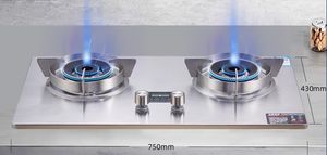 Özelleştirilebilir 5.2KW eko-akıllı 2 brülör LPG masa gaz sobası doğal gaz şiddetli yangın ev enerji tasarrufu elektrik pili - Product Image 3