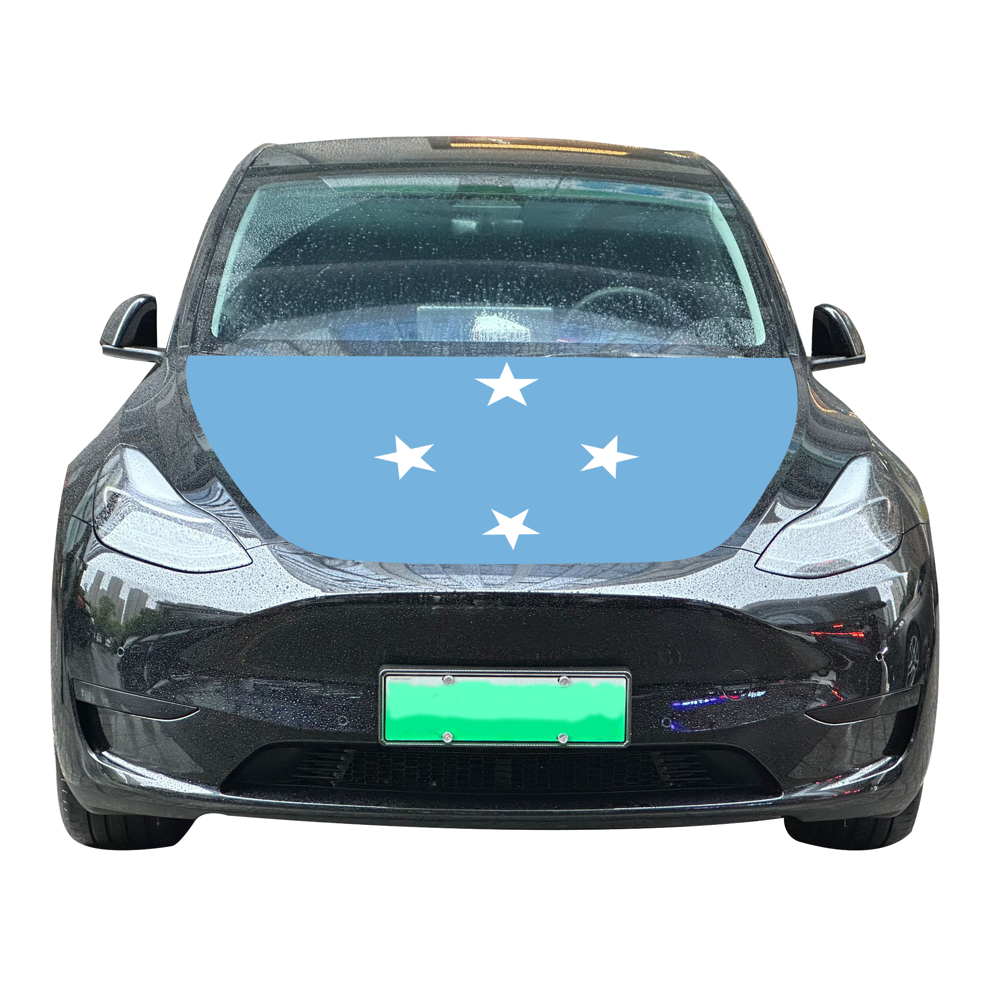 the Federated States of Micronesia flag
