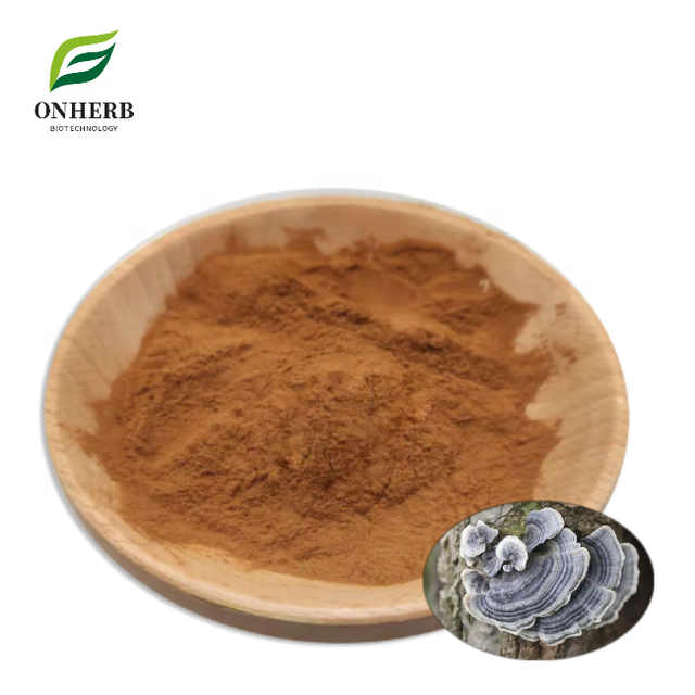 Factory Supply Natural Turkey Tail Mushroom Extract Trukey Tail Mushroom Polysaccharide 50% Powder