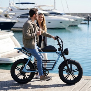 Bicicleta Eléctrica de Neumáticos Anchos para Paseos de Ocio con Baterí<span class=keywords><strong>a</strong></span> Extraíble, Bicicleta Eléctrica Retro de Doble Asiento para Picnic en el Parque y <span class=keywords><strong>Viajes</strong></span> Familiares - Product Image 5