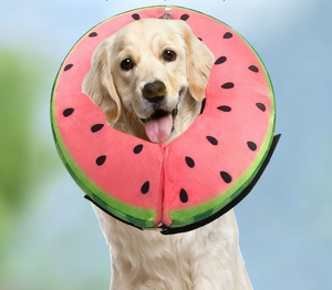 Collar de Recuperación para Mascotas de PVC Suave con Diseño de Sandía, Simple y de Alta Calidad - Product Image 2