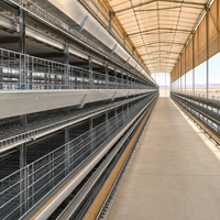 Poulailler avancé de type H pour 22000 oiseaux, conception grande capacité, cage à poulets de type H, Maroc Casablanca