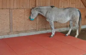 Tapis en caoutchouc pour cheval, tapis en caoutchouc pour l'extérieur, carreaux en caoutchouc pour aire de jeux