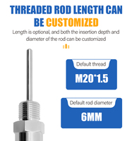 Contrôleur de température intégré PT100, sonde de résistance thermique à insertion, 100 mm, acier inoxydable, IP67, 0,5 %, OEM ODM