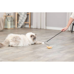 Baguette de jeu pour poissons, jouet interactif de 46 cm pour chats, jouet pour animaux de compagnie - Product Image 3