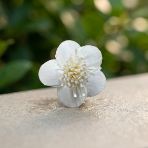 Fleurs séchées en bois de Sola de 4 cm en gros pour la décoration intérieure, respectueuses de l'environnement, pour la remise des diplômes, Halloween, la fête des Mères, Pâques, la Saint-Valentin - Product Image 3