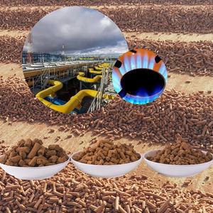 बायोगैस के लिए पेलेट आयरन ऑक्साइड डिसल्फ्यूज़र फे2o3 आयरन ऑक्साइड डिसुलूराइजेशन सल्फर H2s - Product Image 2