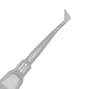Nouvel Arrivage : Élévateurs Dentaires Chirurgicaux de Style Parfait, Légers et Très Tendance, à Prix Abordable - Product Image 3