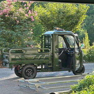 Entrepôt de Roumanie DDP EEC COC 3 roues <span class=keywords><strong>Cargo</strong></span> Bike Grand Space Trike Truck Tricycle électrique avec porte monobloc - Product Image 3
