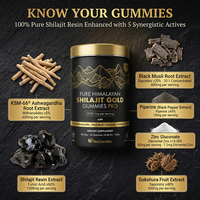 Gouden Kwaliteit Himalaya Shilajit 100% Zuivere Natuurlijke Shilajit Harsen Individueel Verpakt OEM Energie Uithoudingsvermogen Wellness Blend Sticks