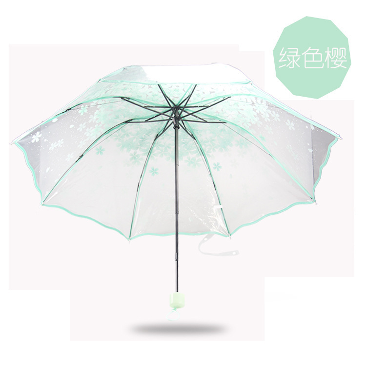 Apollon Sakura vert
