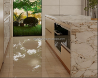 Armoire de cuisine moderne en marbre de George Group avec éclairage LED, évier en bois grainé personnalisé, robinet et charnières - pour les hôpitaux