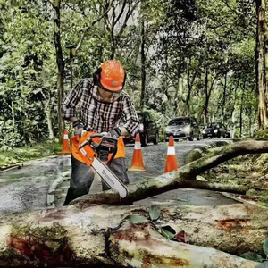 Tronçonneuse à essence haute puissance suédoise 125/130/T435/450/365 pour l'exploitation forestière - Product Image 3