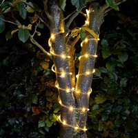 Ruban LED blanc chaud 13 mm, rouleau de 100 m, étanche IP65, découpable tous les 1 m, tube PVC flexible, bobine, éclairage extérieur pour façade