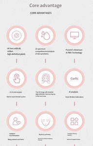 เทคโนโลยี AI เครื่องสแกนผิวหน้า 3 มิติ สำหรับร้านเสริมสวย iPad EU/IT สำหรับการวิเคราะห์ใบหน้า อุปกรณ์จัดการการดูแลผิวผ่าน WiFi - Product Image 6