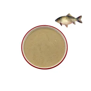 Wholesale Feed Grade Tilapia Fish Feed Bacillus Licheniformis Probiotics