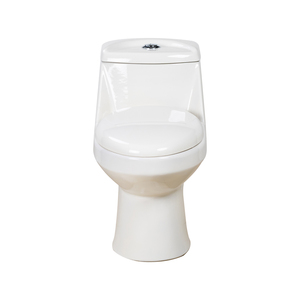 Artículos Sanitarios Baño 2026, Inodoro Monobloque Sifónico Alargado de Cerámica Hueso con Desagüe S de 300mm Modelo FLL-016 - Product Image 2