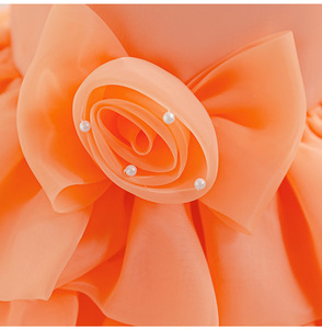 Elegante <span class=keywords><strong>Abito</strong></span> in Tulle Arancione per Bambine, Vestito da Festa Senza Maniche con Perle, Rose 3D e Strati Arricciati - Product Image 5