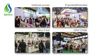 Venda quente Extracto De Proteína De Painço Extrato De Semente De Painço Extrato De Painço - Product Image 4