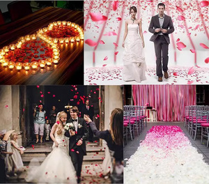 Vente en gros de 1000 pétales de <span class=keywords><strong>rose</strong></span> en tissu non tissé pétales de <span class=keywords><strong>rose</strong></span> de fleurs artificielles pour décoration de mariage et de la Saint-Valentin - Product Image 5
