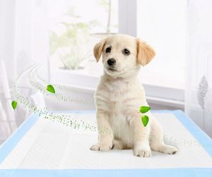 Top Seller Online Shopping Pet Products Dog Training <b>Pads</b> for Dogs Puppy Training <b>Pee</b> <b>Pads</b> - Product Image 4