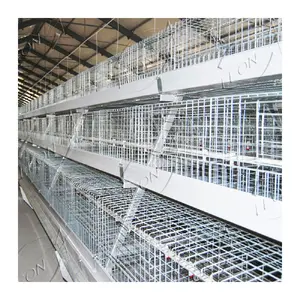 High Quality A Type 10000 Laying Hens Chicken Battery Cages for Sale in Dubai Farm