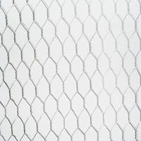 Rouleau de grillage soudé galvanisé pour cages à poulets, canards, oies et élevage de volailles
