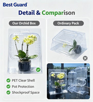 Boîte blister PET pour semis de pépinière, emballage pour le transport longue distance de boutures de fleurs