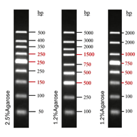 Gel Rouge Optimisé Pré-coloré pour Marqueur ADN pour Électrophorèse ADN sur Agarose Liquide 250 µl Pureté 99,9 %