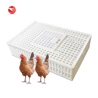 Cage d'élevage de volailles vivantes pour le transport de poulets, caisses de transport de poulets à vendre, fermes de transport de poulets BY-001