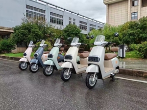 Scooter Eléctrico de 48V para Adolescentes, el Mejor del Mercado, Fabricante Chino, 1000W 1500W GW-M85 1000W - Product Image 5