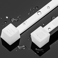 Lot de 100 attaches-câbles en nylon noir autobloquantes, résistantes et incassables, attaches-câbles en plastique robustes