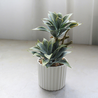 Fleurs artificielles en plastique, ornements créatifs, plantes succulentes en pot, décoration de la maison, accessoires de photographie, verdure artificielle, plantes à feuilles persistantes