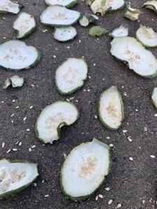 Calabacín seco al mejor precio al por mayor de exportación CALIENTE de productos agrícolas de Vietnam - Product Image 6