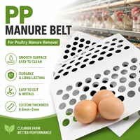 Systèmes de cages d'élevage multi-niveaux en PP poreux ventilé avec tapis roulant pour œufs, récupération automatique douce des œufs et démontage facile