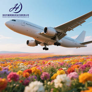 Envío Aéreo Rápido UPS/FEDEX Express Puerta a Puerta de China a EE. UU./Reino Unido/Alemania/Italia/<span class=keywords><strong>España</strong></span>/Francia/Singapur - Product Image 2