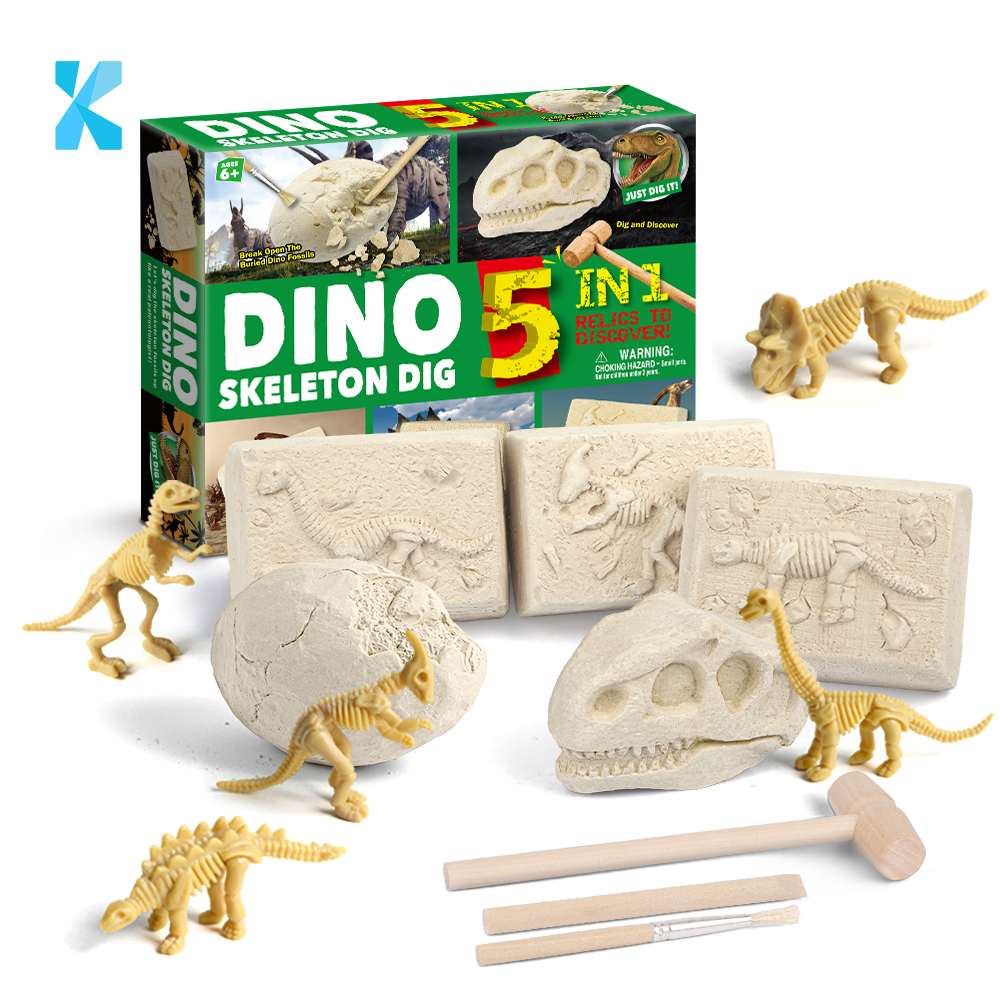 5 dans 1 kit de fouilles de Dino