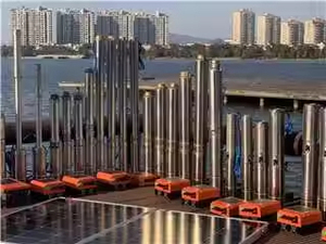 ปั๊มน้ำพลังงานแสงอาทิตย์คุณภาพสูง Skycorp SQB 1 แรงม้า 750 วัตต์ ดีซี 48 โวลต์/72 โวลต์ แรงดันสูง พร้อมตัวควบคุมแบบวอร์เท็กซ์ในตัว ตัวเครื่องอะลูมิเนียมหล่อขึ้นรูป - Product Image 5