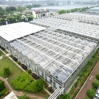 Serre en verre Venlo à haut rendement pour la culture de tomates, 50 tonnes par 1000 m², système complet