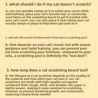 Griffoir et Nid Intégrés pour Chat, Résistant à l'Usure et aux Rayures, Conception Verticale Extra Large, Jouet pour Chat CWYP-DF988