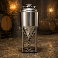 Cuve de Fermentation Conique en Acier Inoxydable 304 de 150L pour la Production Artisanale de Bière et de Petites Séries d'Alcool