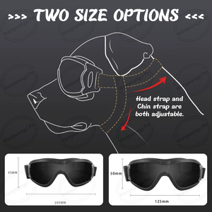 Lunettes UV transparentes pour animaux de compagnie Lunettes anti-neige pour chiens <span class=keywords><strong>avec</strong></span> sangles réglables - Product Image 5