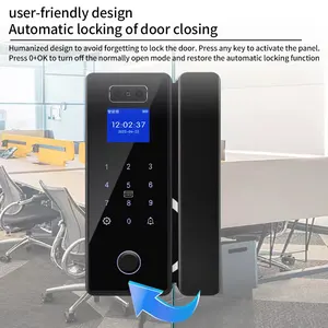 New Safety Pull Handle Sliding Glass Face Id Electric Aluminium Door Wireless Smart Lock Tuya Wifi With Key Card Password