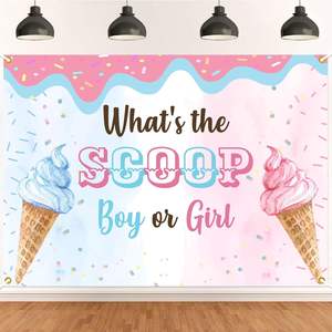 Toile de fond photographique pour révélation du sexe de bébé, thème crème glacée, avec bannière « Quel est le THÈME ? Garçon ou Fille ? », pour fête ou baby shower, fond personnalisable - Product Image 1