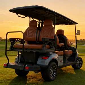 Voiturette de <span class=keywords><strong>golf</strong></span> électrique avec une autonomie de 90 à 120 km et une charge rapide en 6 à 7 heures - Product Image 5